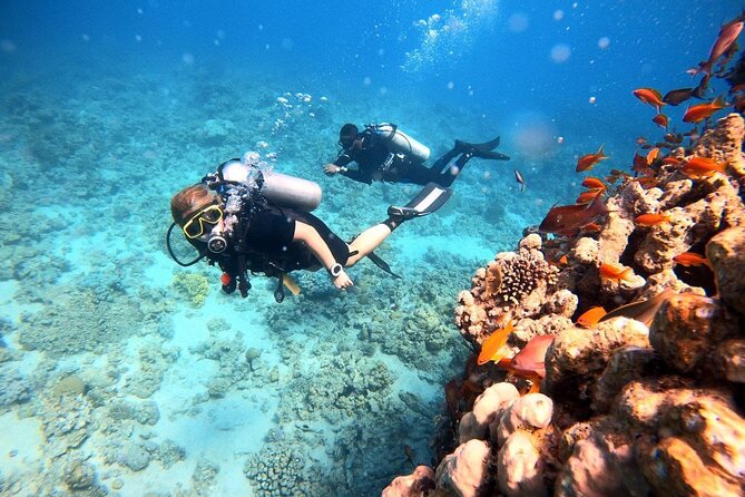 2-Hour Private Scuba Experience in Aqaba - Timing, weather, and cancellation