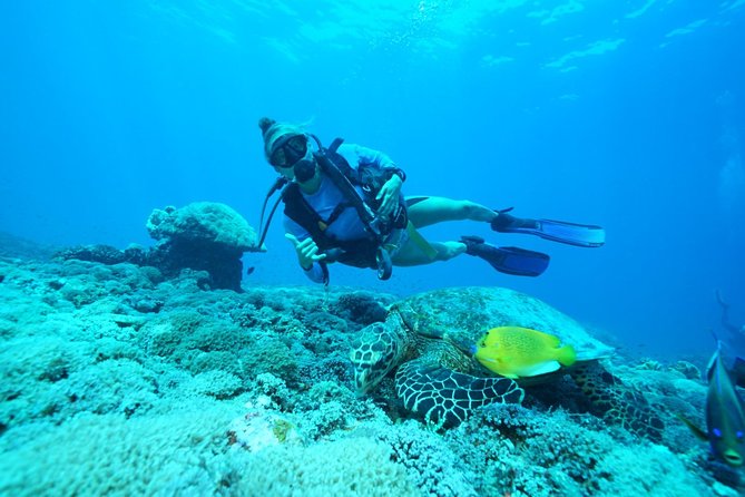 2 or 3 dives in Nusa Lembongan and Penida, for certified diver (in Lembongan) - Why Nusa Penida attracts scuba enthusiasts