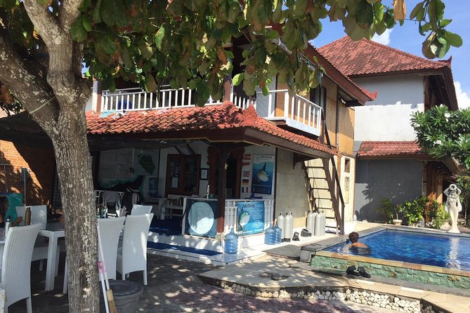 2 or 3 dives in Nusa Lembongan and Penida, for certified diver (in Lembongan) - Gamat Bay adds variety