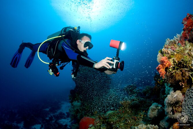 2 or 3 dives in Nusa Lembongan and Penida, for certified diver (in Lembongan) - Crystal Bay and the possibility of mola mola