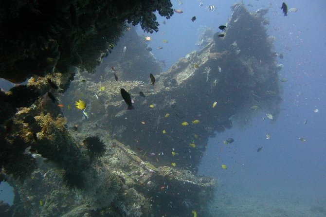 2 PADI Certified Dives at Tulamben from Bali - The 7:00 a.m. departure from Bali