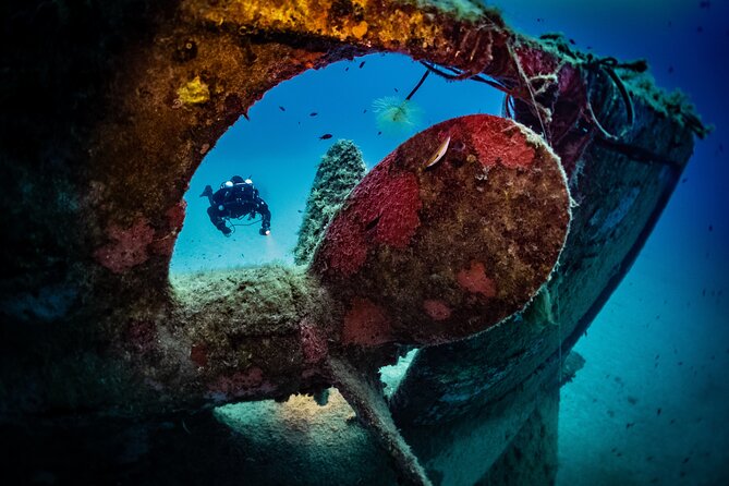 2 Scuba Fun Dives for Certified divers in St Paul's Bay - Key points at a glance