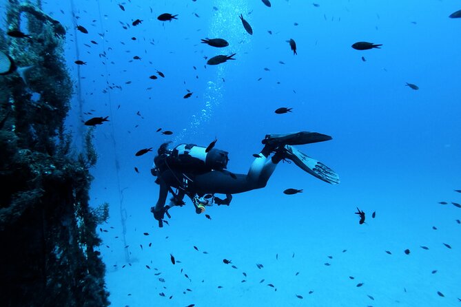 2 Scuba Fun Dives for Certified divers in St Paul's Bay - Two briefings before the water