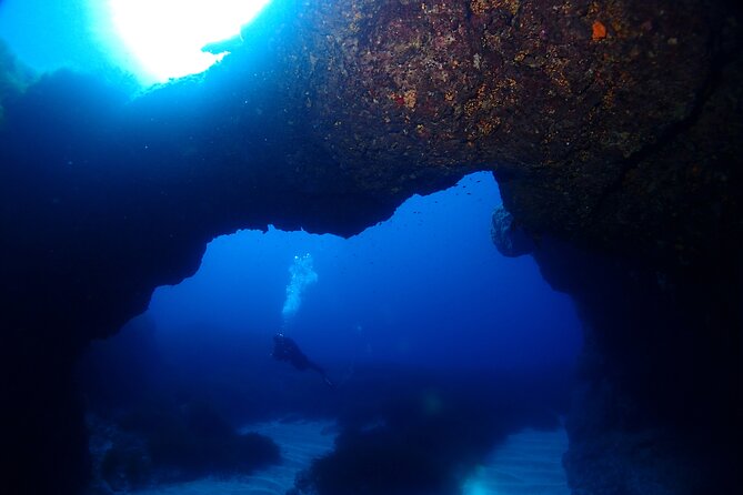 2 Scuba Fun Dives for Certified divers in St Paul's Bay - The best season for calmer wildlife encounters
