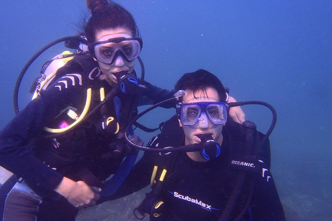 2 Tank Boat Dives for Certified Divers - What You Might See Underwater