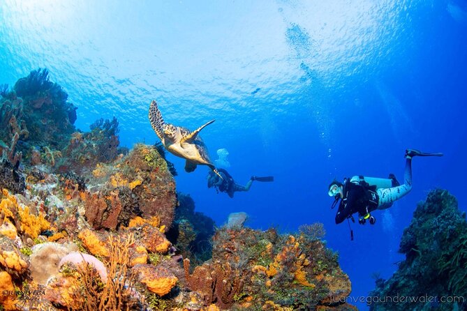2 Tank Cozumel Reef Boat Dives - A Snack Break With Cozumel Views