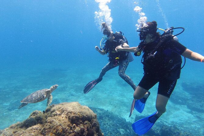 2 Tank Cozumel Reef Boat Dives - First Stop: Palancar Reef