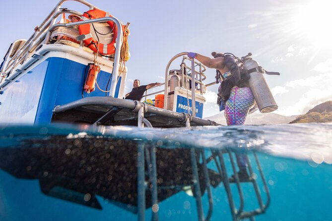 2-Tank Dive Featuring the Molokini Crater - Why Molokini makes a strong Maui morning