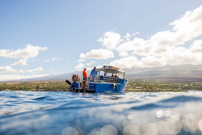 2-Tank Dive Featuring the Molokini Crater - Two tank sessions, not one rushed swim