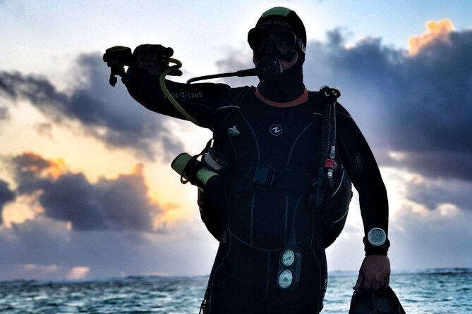 2 Tank Dive (for certified divers) - What the $95 Price Actually Buys