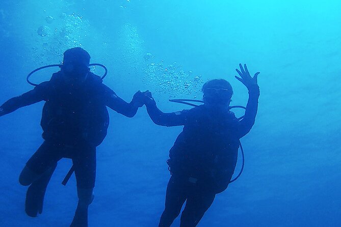 2 Tank Dive (for certified divers) - Getting Ready at the Shop