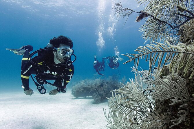 2 Tank Dive (for certified divers) - First Session Along the Costa Maya Reef