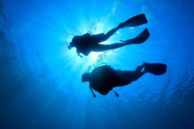 2 Tank Dive (for certified divers) - Who Will Get the Most From This Outing