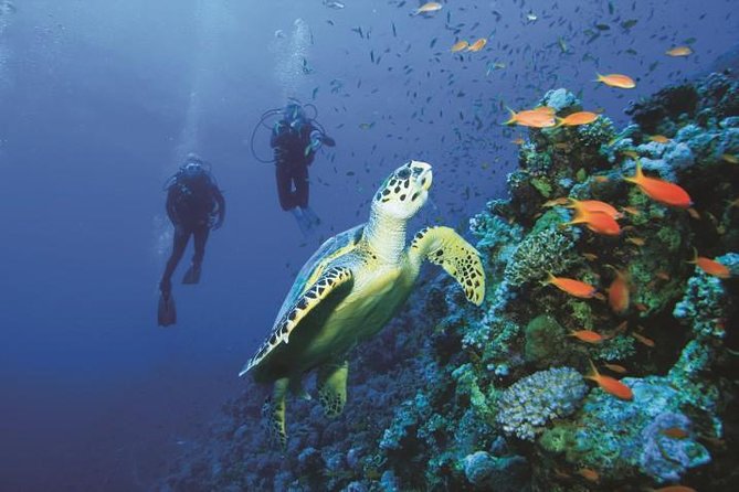 2 Tank Dive in Cozumel - The ferry crossing to Cozumel
