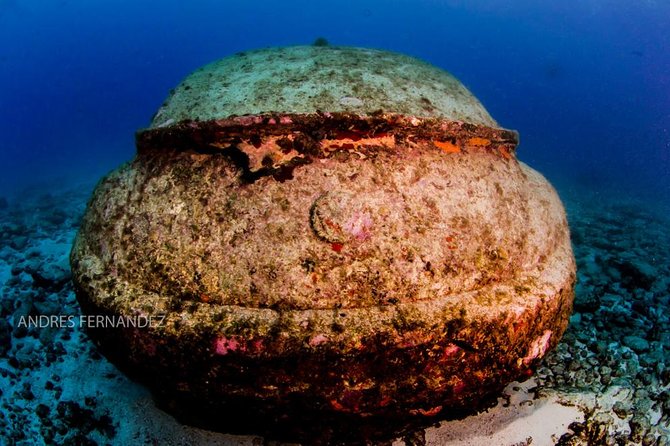 2 Tank Dives MUSA and Manchones reef (Certified divers) - What the MUSA sculptures add to the experience