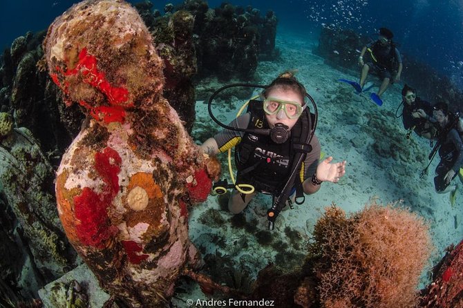 2 Tank Dives MUSA and Manchones reef (Certified divers) - Why the small group matters underwater