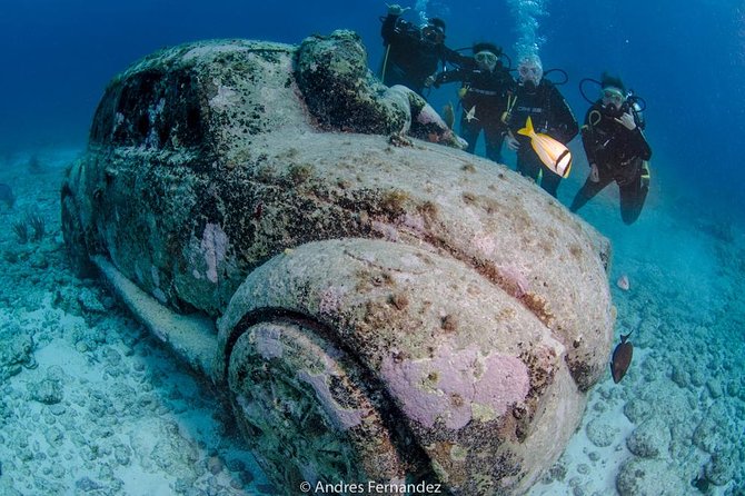 2 Tank Dives MUSA and Manchones reef (Certified divers) - Who will get the most from this tour