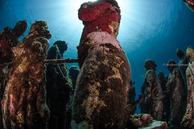 2 Tank Dives MUSA and Manchones reef (Certified divers) - Timing, weather, and cancellation details