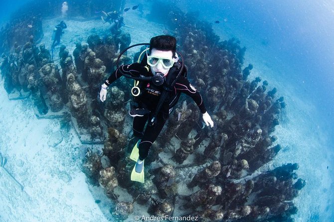 2 Tank Dives MUSA and Manchones reef (Certified divers) - How the four-hour morning unfolds