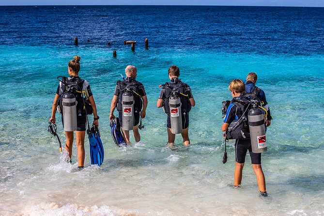 2 Tank Guided Dive half-day - What the $145 price really covers