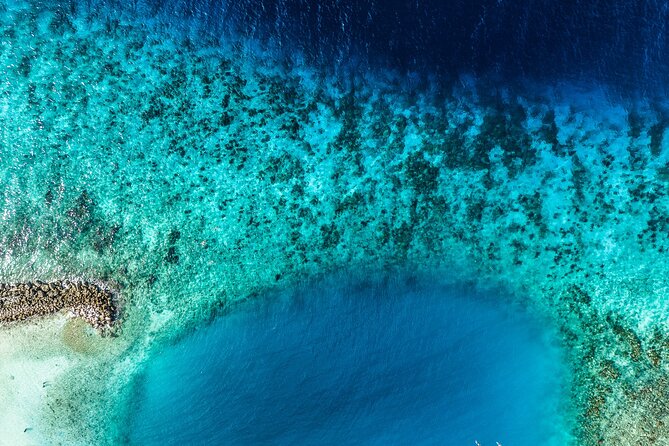 2 Tank Guided Dive half-day - What each site offers, and what it does not