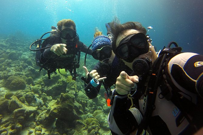 2 tank guided dive House Reef (Pierbaai Reef and Car Pile) - At a glance
