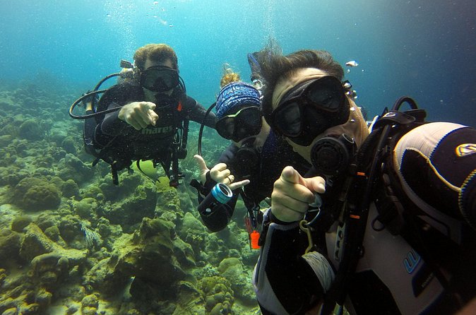 2 tank guided dive House Reef (Pierbaai Reef and Car Pile) - Small groups make the morning easier