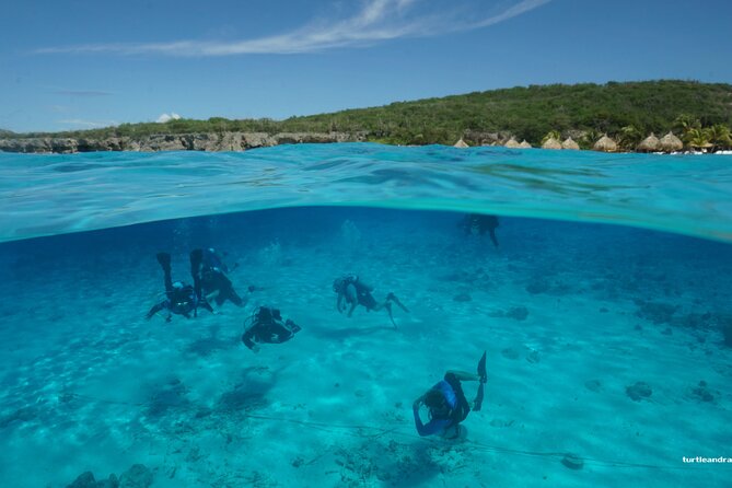 2 tank guided dive House Reef (Pierbaai Reef and Car Pile) - Equipment, certification, and physical demands