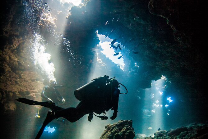 2 Tank Lanai Cathedral Scuba Dive Via Boat for Certified Divers - The Lanai Cathedral trip at a glance