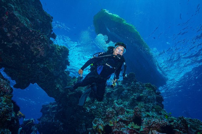 2 Tank Lanai Cathedral Scuba Dive Via Boat for Certified Divers - The Cathedral formations and their shafts of light