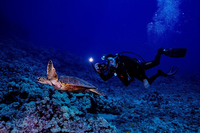2 Tank Lanai Cathedral Scuba Dive Via Boat for Certified Divers - Guides, safety, and the feel of the group