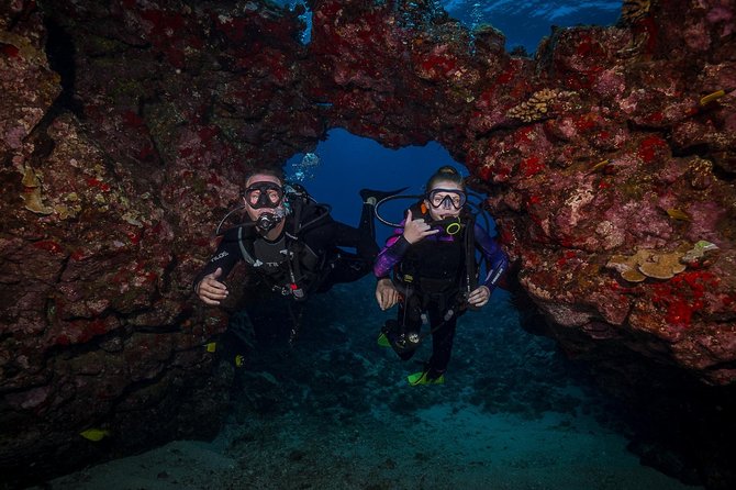 2 Tank Lanai Cathedral Scuba Dive Via Boat for Certified Divers - Equipment and physical demands
