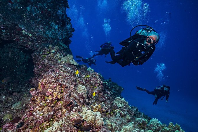 2 Tank Lanai Cathedral Scuba Dive Via Boat for Certified Divers - Is $306.89 a good value?
