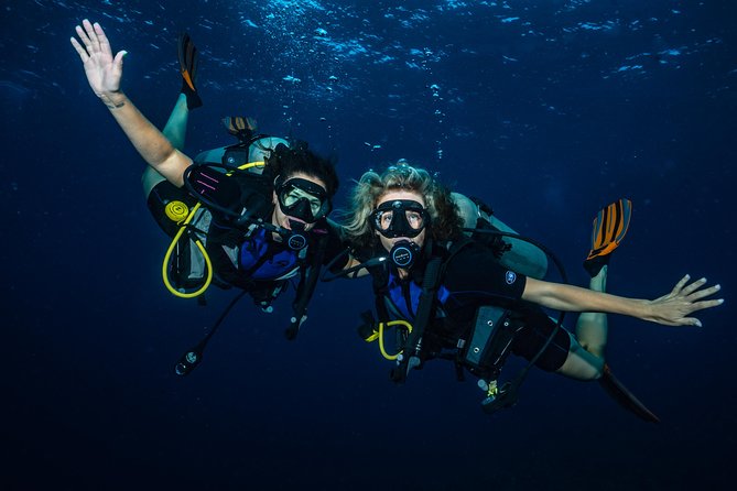 2-Tank Maui Turtle Scuba Dive or Snorkel Boat Tour - What the $245.48 price really buys you