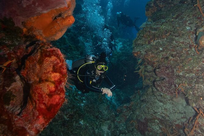 2 Tank Morning Dive: Scuba Diving in Cozumel - Guides who keep the mood calm