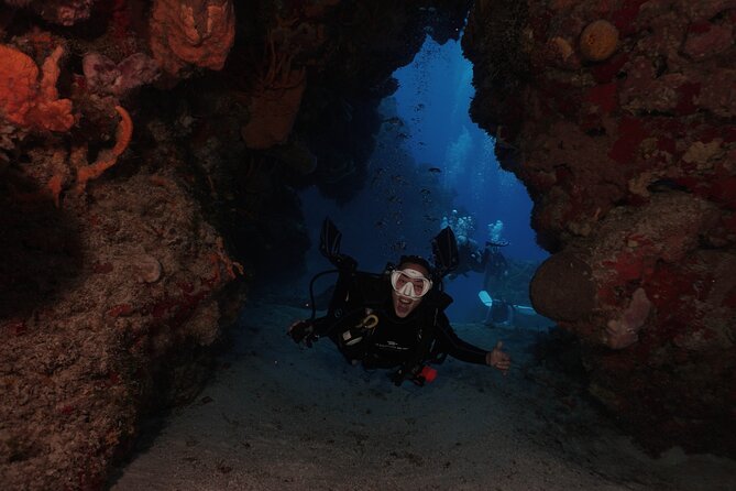 2 Tank Morning Dive: Scuba Diving in Cozumel - Who should book this Cozumel trip?