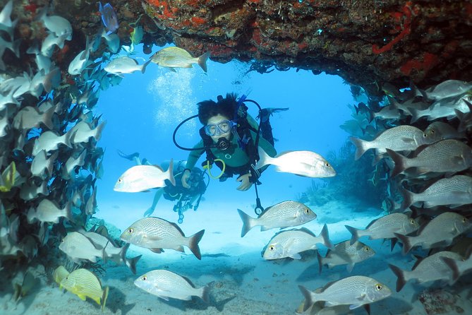 2-Tank Morning or Afternoon Dives in Playa del Carmen certified Divers Only - The guide and boat crew matter here