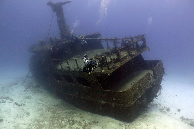 2-Tank Morning or Afternoon Dives in Playa del Carmen certified Divers Only - Should you book this Playa del Carmen reef trip?