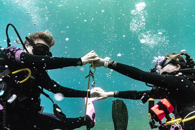 2 Tank Private SCUBA Party Diving Charter from Waikiki Hawaii - Two Oahu sites in one compact morning