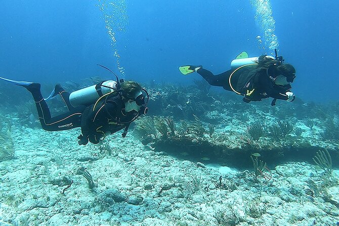 2 Tank Reef Dive in Mexico - Sunscreen, Wetsuits, and Reef Care