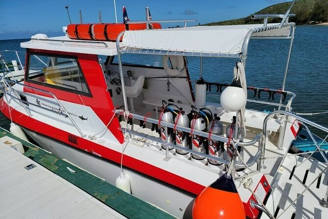 2-Tank Scuba Boat Trip in World-Class Sites @ Copamarina - Weather, minimum numbers, and the booking risk