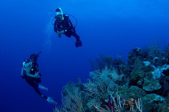 2-Tank Scuba Boat Trip in World-Class Sites @ Copamarina - The Wall: a serious drop into the pelagic zone