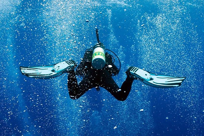 2 Tank Shore Dive at Sea Turtle Cove - Key points to know before booking
