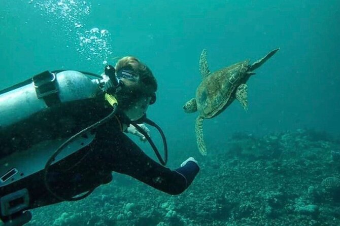 2 Tank Shore Dive at Sea Turtle Cove - Meeting the team at 10:30 am in Hilo