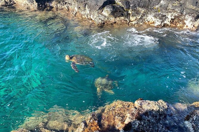 2 Tank Shore Dive at Sea Turtle Cove - The 18-hour altitude rule matters