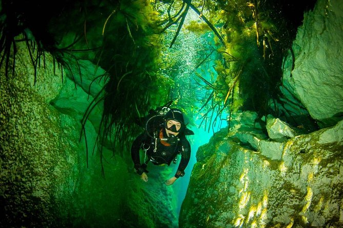2 tanks Cenote Diving Adventure in Tulum for Certified Divers - What the $200 price covers