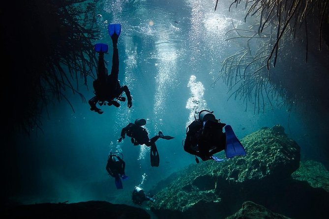 2 tanks Cenote Diving Adventure in Tulum for Certified Divers - Safety, certification, and comfort