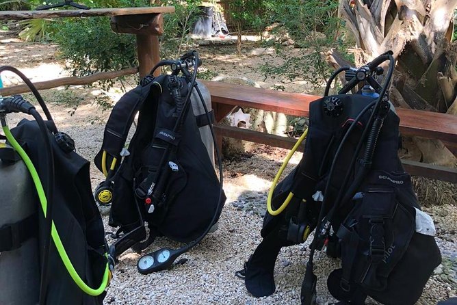 2 tanks Cenote Diving Adventure in Tulum for Certified Divers - The practical rhythm of the five-hour outing