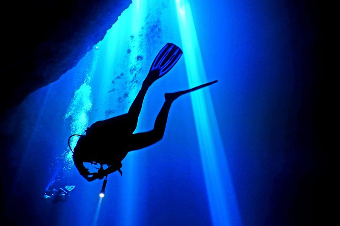 2 tanks Cenote Diving Adventure in Tulum for Certified Divers - What kind of person should book this?