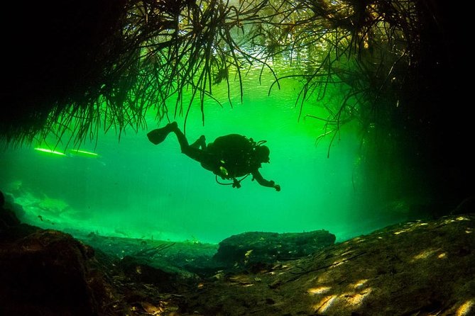 2 tanks Cenote Diving Adventure in Tulum for Certified Divers - Starting at La Calypso Dive Center in Tulum